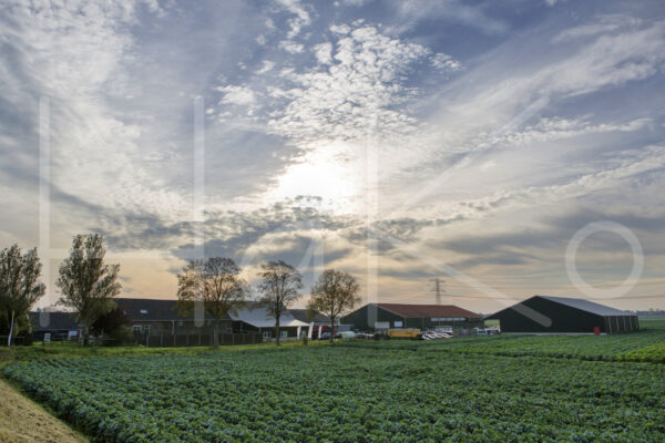 Overige akkerbouw (16B0372)