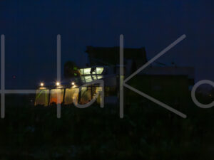 Spruitenteelt (16B0662)