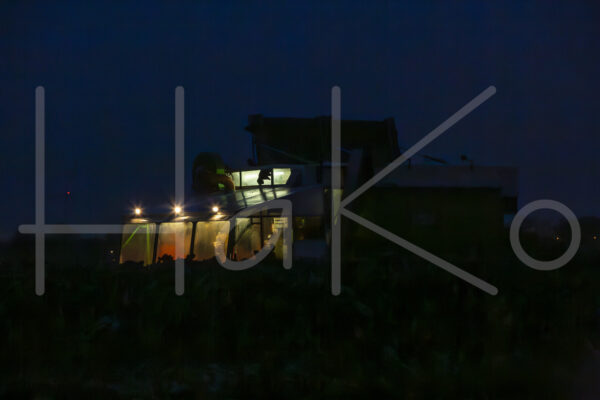 Spruitenteelt (16B0662)