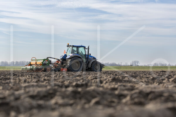Tarweteelt (16B1455)