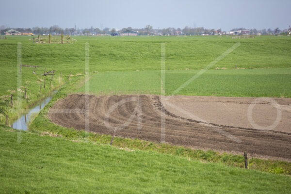 Aardappelteelt (16B3271)