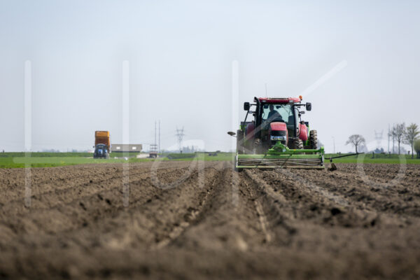 Aardappelteelt (16B3284)