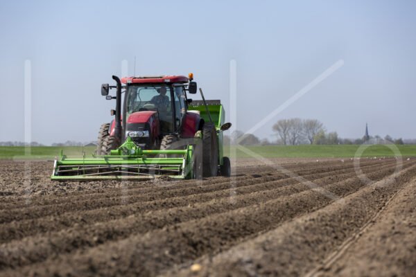 Aardappelteelt (16B3317)