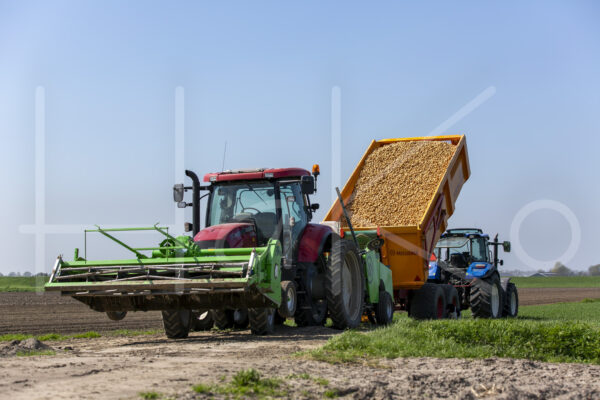 Aardappelteelt (16B3321)
