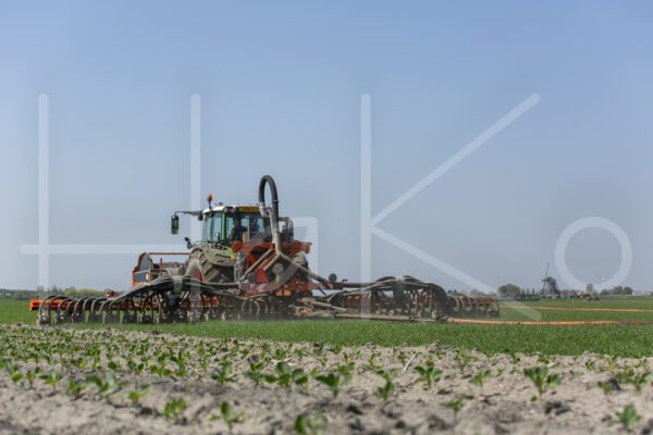 Tarweteelt (16B3380)