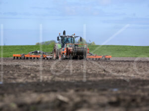 Tarweteelt (16B3535)