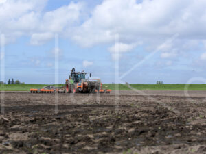 Tarweteelt (16B3542)
