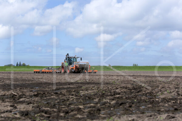 Tarweteelt (16B3542)
