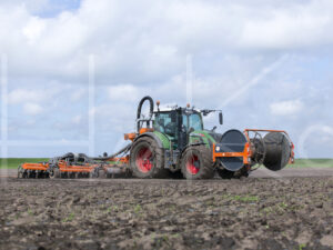 Tarweteelt (16B3546)