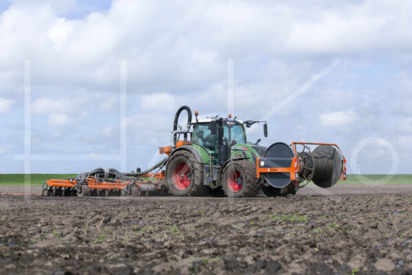 Tarweteelt (16B3546)