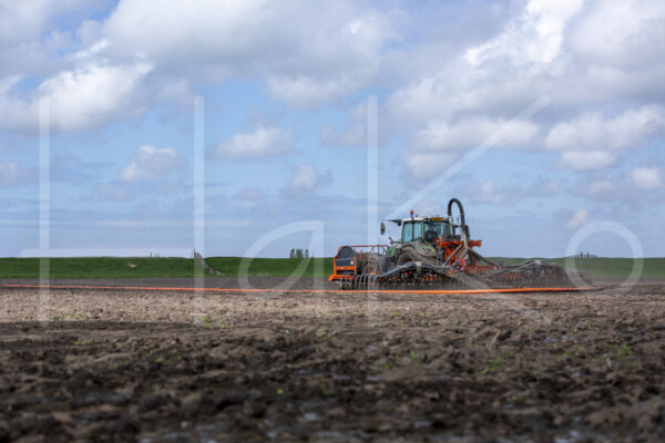 Tarweteelt (16B3552)
