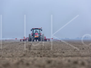 Suikerbietenteelt (16B3553)