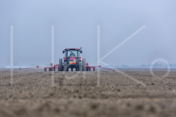 Suikerbietenteelt (16B3553)