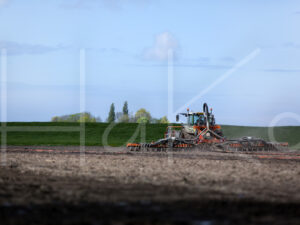 Tarweteelt (16B3569)
