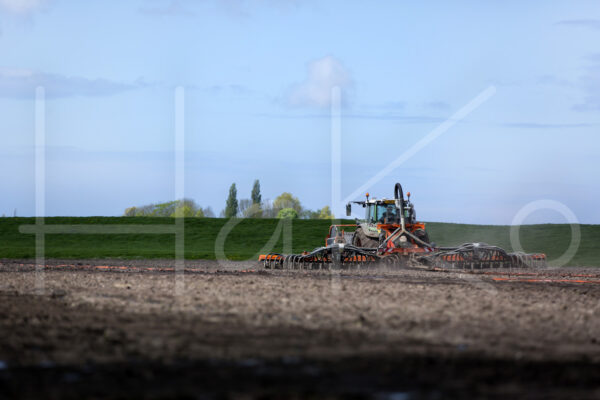 Tarweteelt (16B3569)