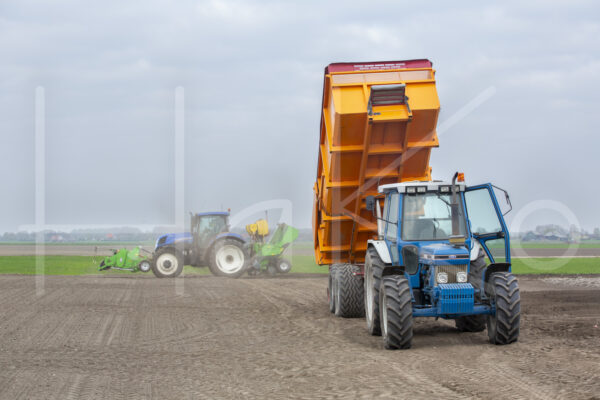 Aardappelteelt (16B3620)