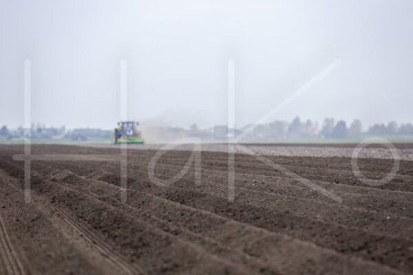 Aardappelteelt (16B3711)