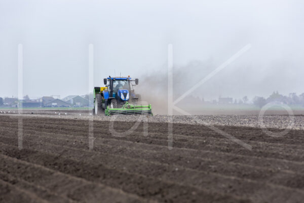 Aardappelteelt (16B3723)