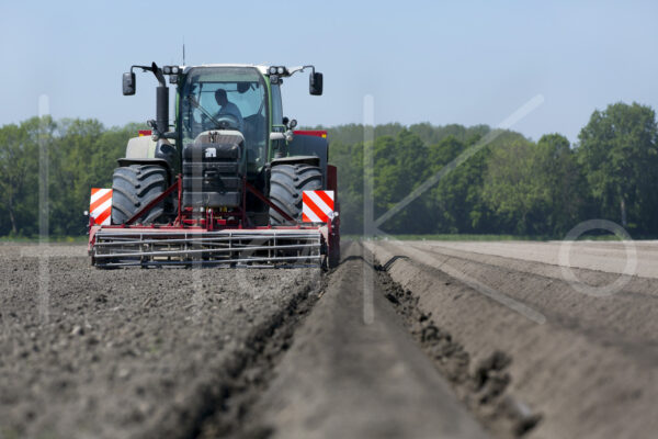 Aardappelteelt (16B3942)
