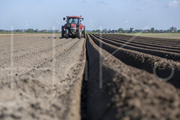 Aardappelteelt (16B4023)