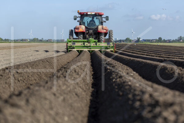 Aardappelteelt (16B4041)