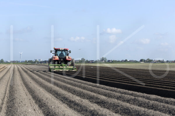 Aardappelteelt (16B4045)