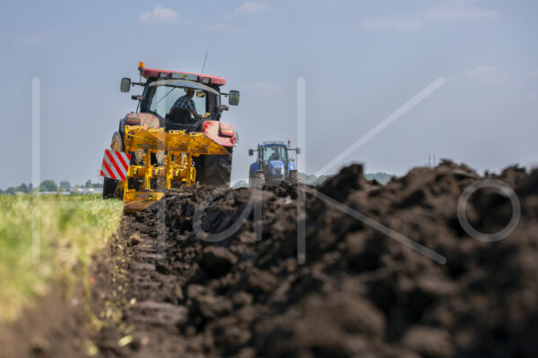 Overige akkerbouw (16B4482)