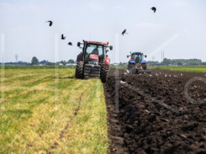 Overige akkerbouw (16B4504)
