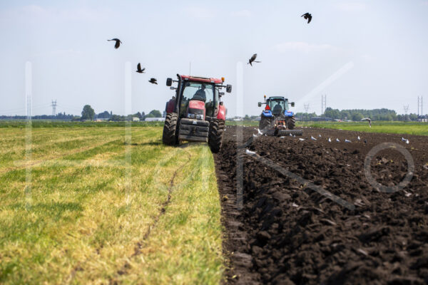 Overige akkerbouw (16B4504)