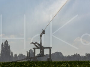 Overige veeteelt (16B5711)