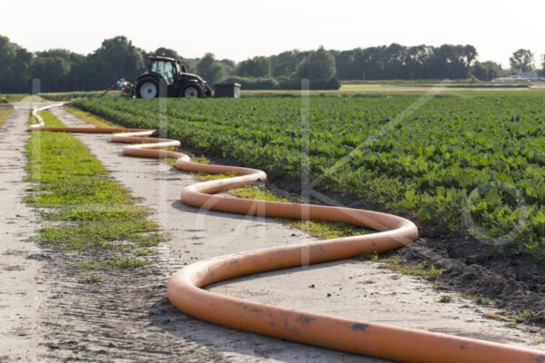 Overige akkerbouw (16B6126)