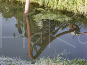 Overige (16B6303)
