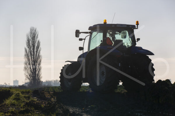 Overige akkerbouw (16B6815)