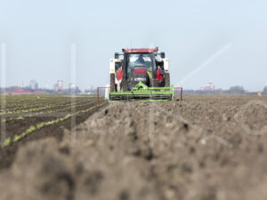 Spruitenteelt (16B7060)