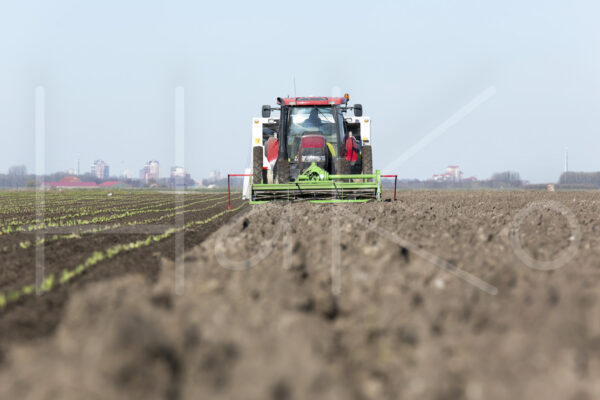 Spruitenteelt (16B7060)