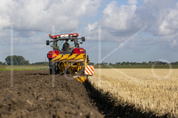 Overige akkerbouw (16B8256)