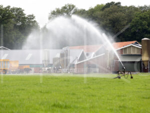 Overige veeteelt (16B0344)