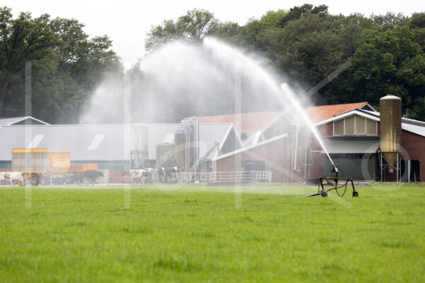 Overige veeteelt (16B0344)