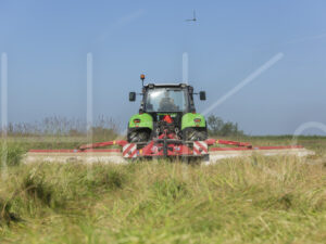Overige veeteelt (16B0705)