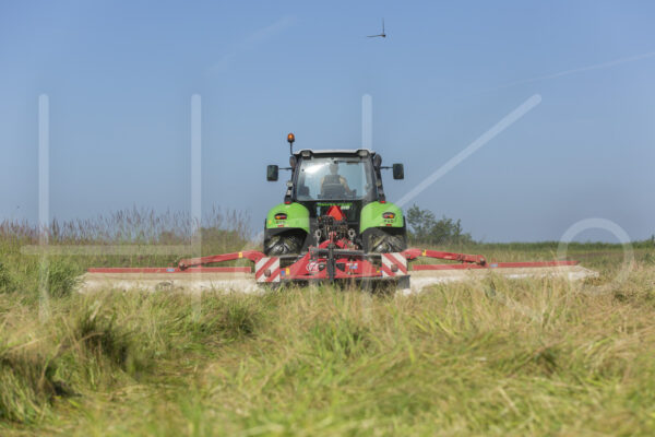 Overige veeteelt (16B0705)