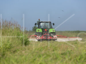 Overige veeteelt (16B0710)