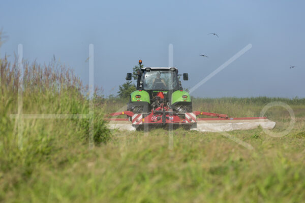 Overige veeteelt (16B0710)