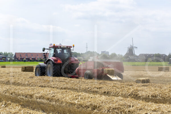 Tarweteelt (16B9020)