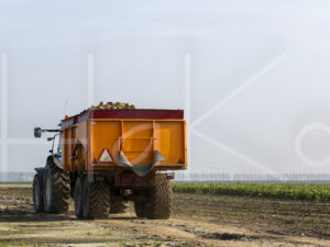 Suikerbietenteelt (16B9849)