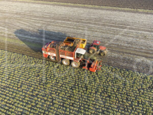 Suikerbietenteelt (DJI_0002)
