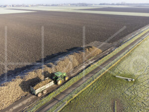 Suikerbietenteelt (DJI_0024)