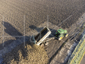 Suikerbietenteelt (DJI_0028)