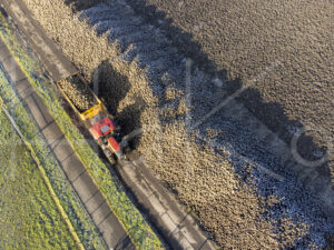 Suikerbietenteelt (DJI_0042)