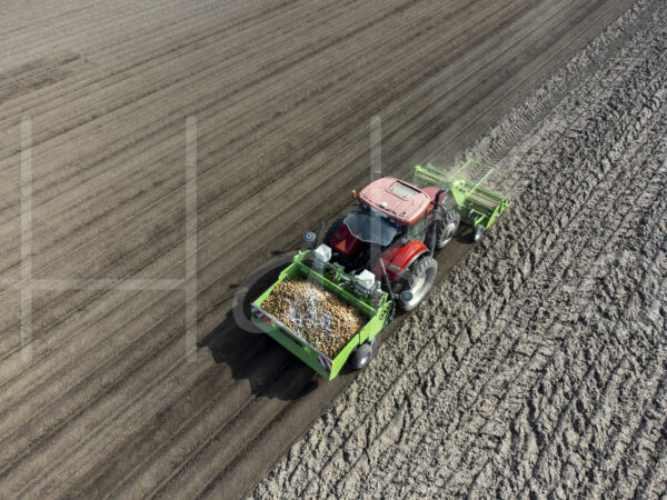 Aardappelteelt (DJI_0790)
