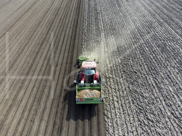 Aardappelteelt (DJI_0793)